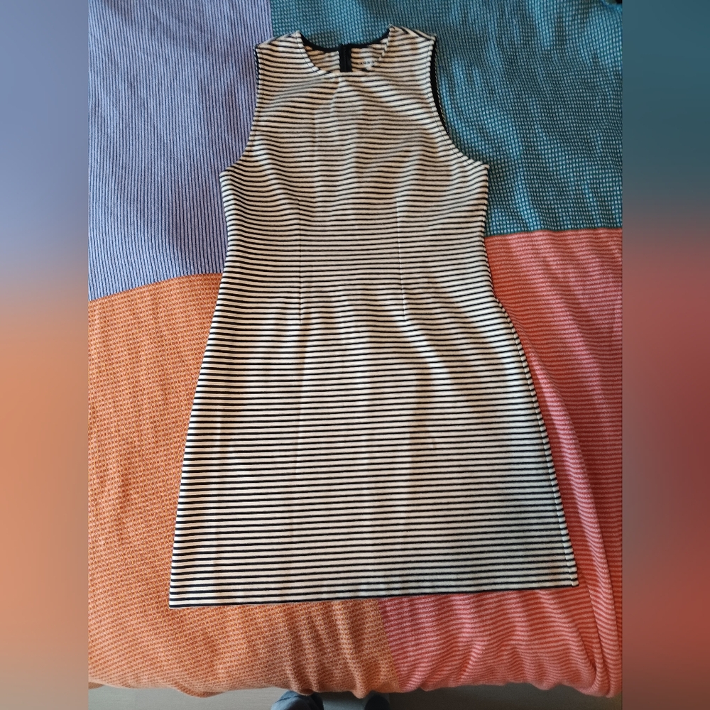 Everlane The Dream Shift Dress Striped Dress Size M